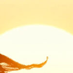 Dune_3